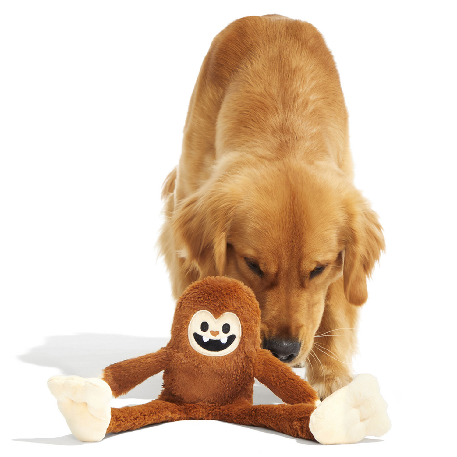 Golden Retriever playing with Bark Sasquatch Josh Dog Plush Toy