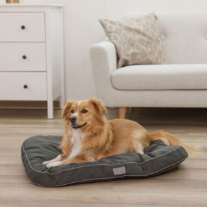 Kerbl Dog resting in Jerome Dog Bed - Dark Green
