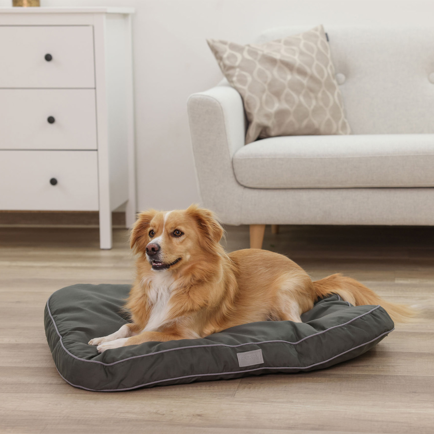 Kerbl Dog resting in Jerome Dog Bed - Dark Green