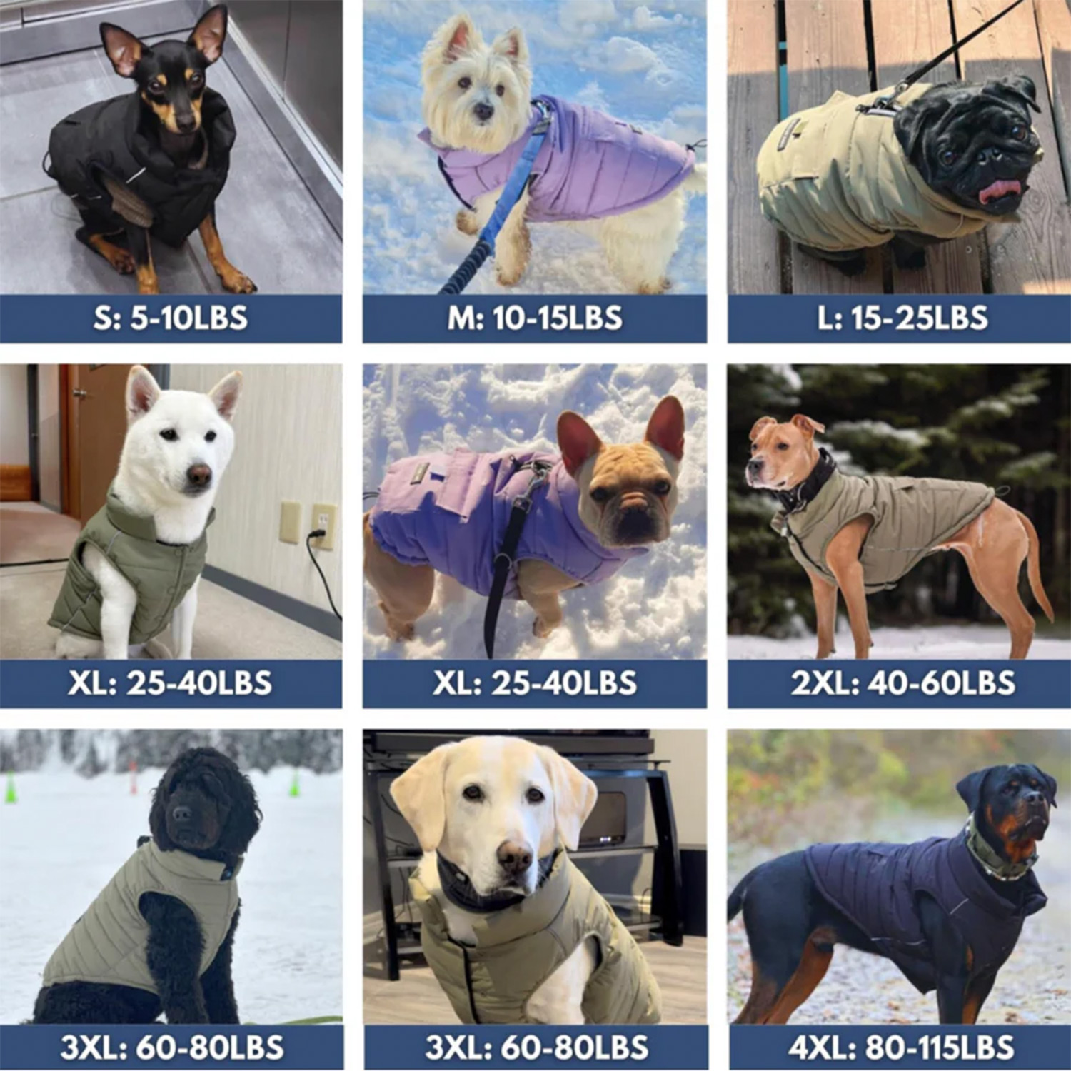 Spark Paws Size Guide