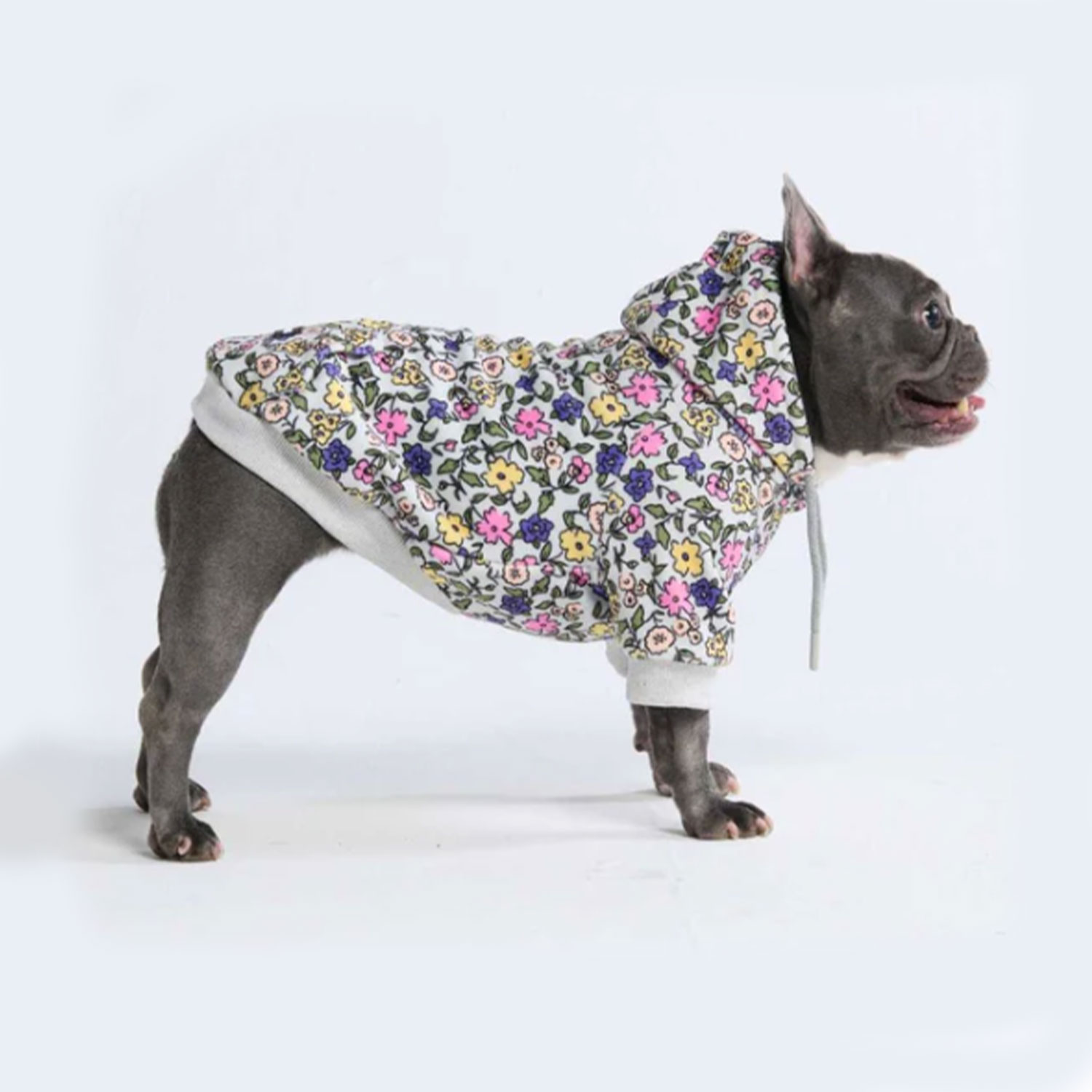 Spark Paws Vintage Flower Dog Hoodie - Light Grey