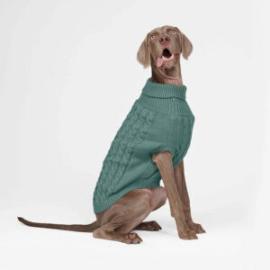 Weimaraner wearing Spark Paws Cable Knit Dog Sweater Pine Green