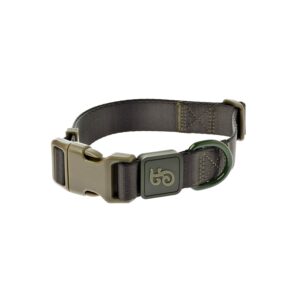 Ferribiella Suprema Dog Collar - Green