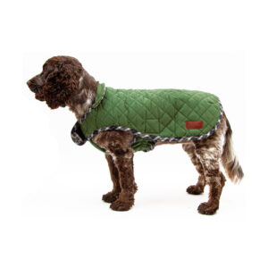 Great&Small Country Quilted Plaid Green Dog Coat