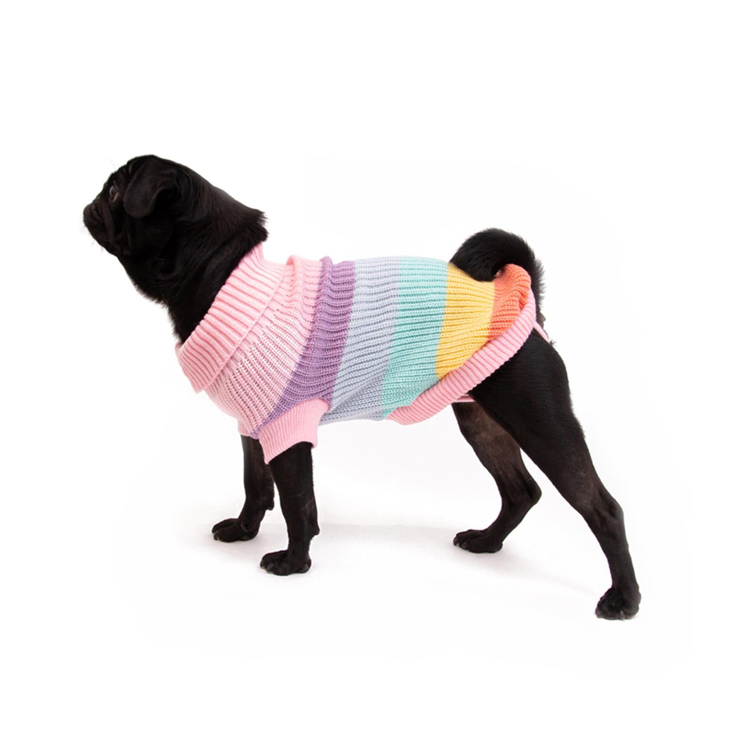 Great&Small Penrose Knitted Pastel Rainbow Dog Jumper