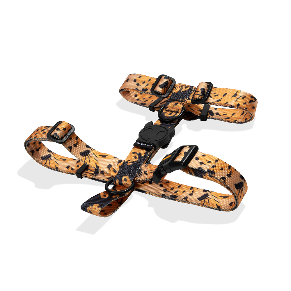 Bossa Banana Dog H Harness - Image 2