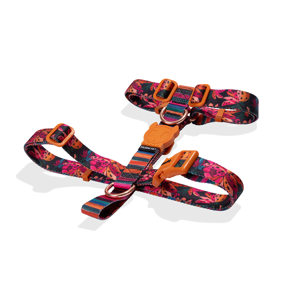 FARM Rio Selva Dog H Harness - Image 2