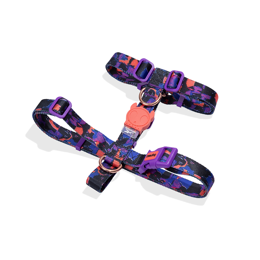 Zeedog x Reebok Court Dog H Harness