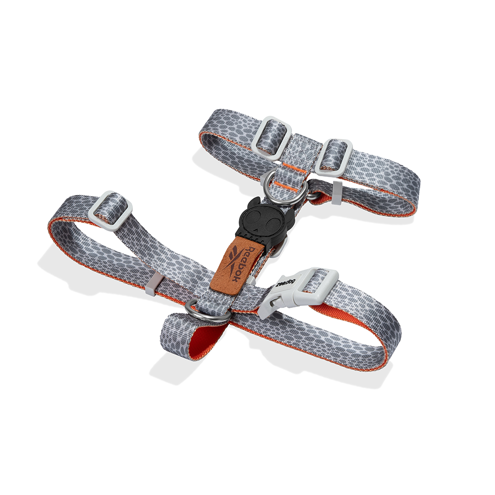 Zeedog x Reebok Suede H Harness