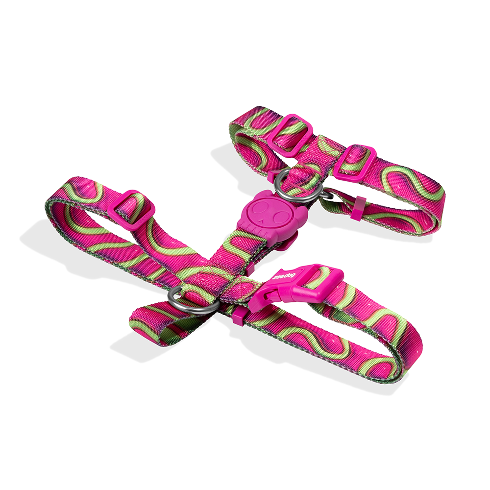 H3D Jelly Dog H Harness - Image 2