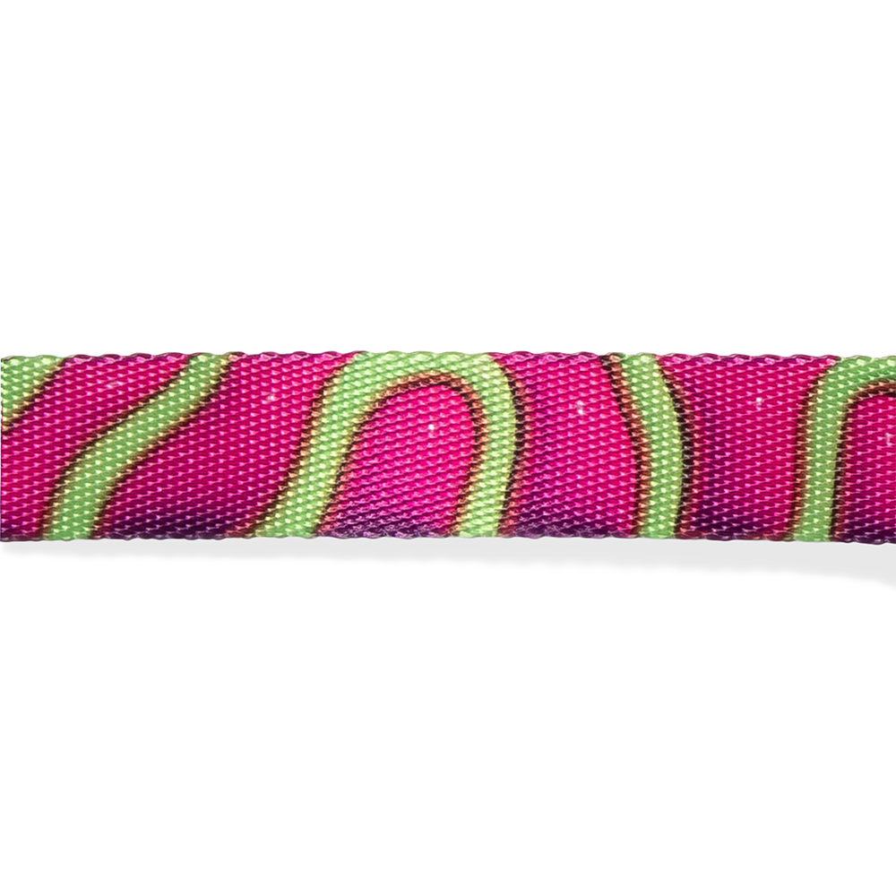 H3D Jelly Dog H Harness - Image 3