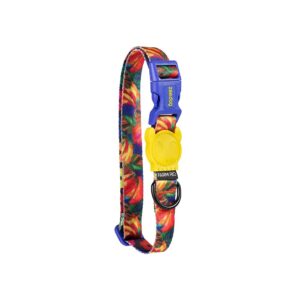 Zee.Dog Farm Rio Samba Dog Collar