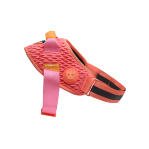 Zee.dog Gazelle Flyharness Pink Dog Harness