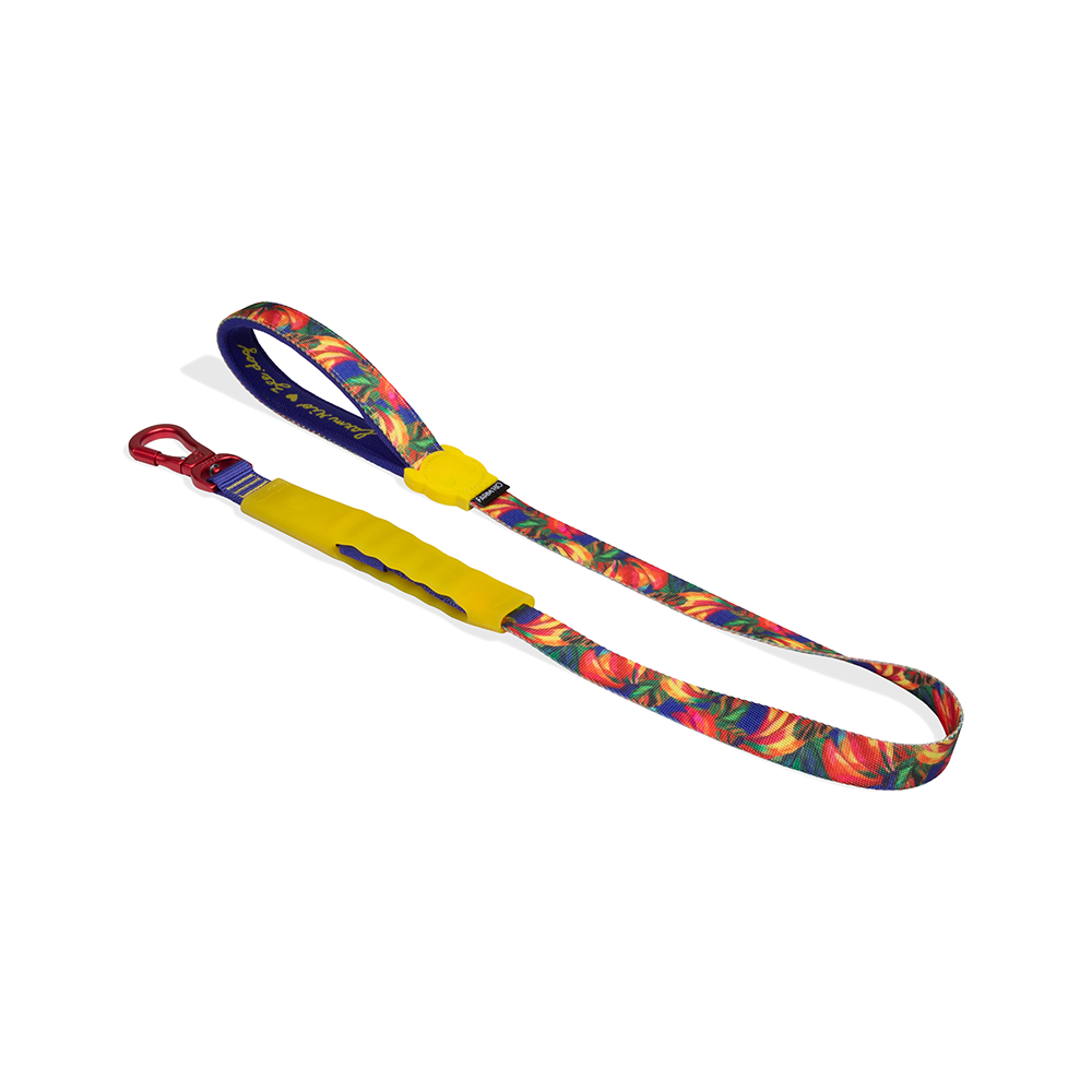 Zee.Dog FARM Rio Samba Airleash no-pull dog leash