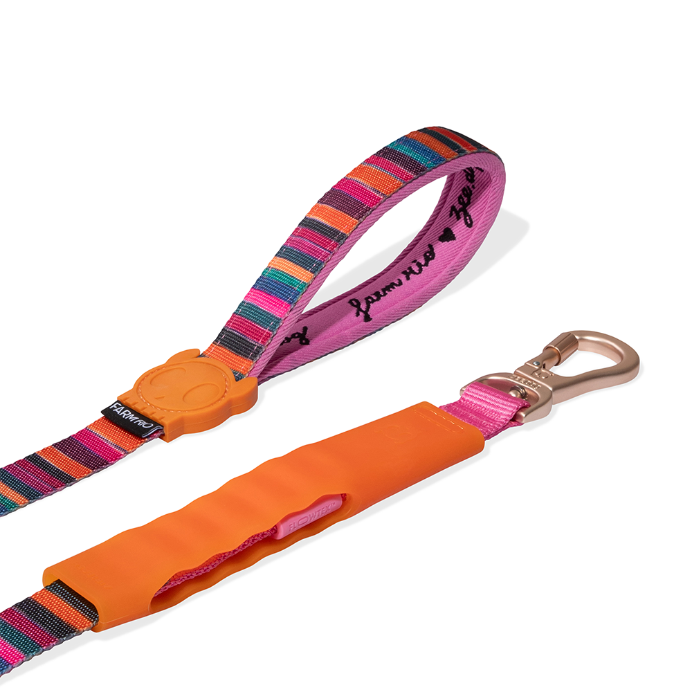 Zee.Dog FARM Rio Selva Airleash no-pull dog leash handle