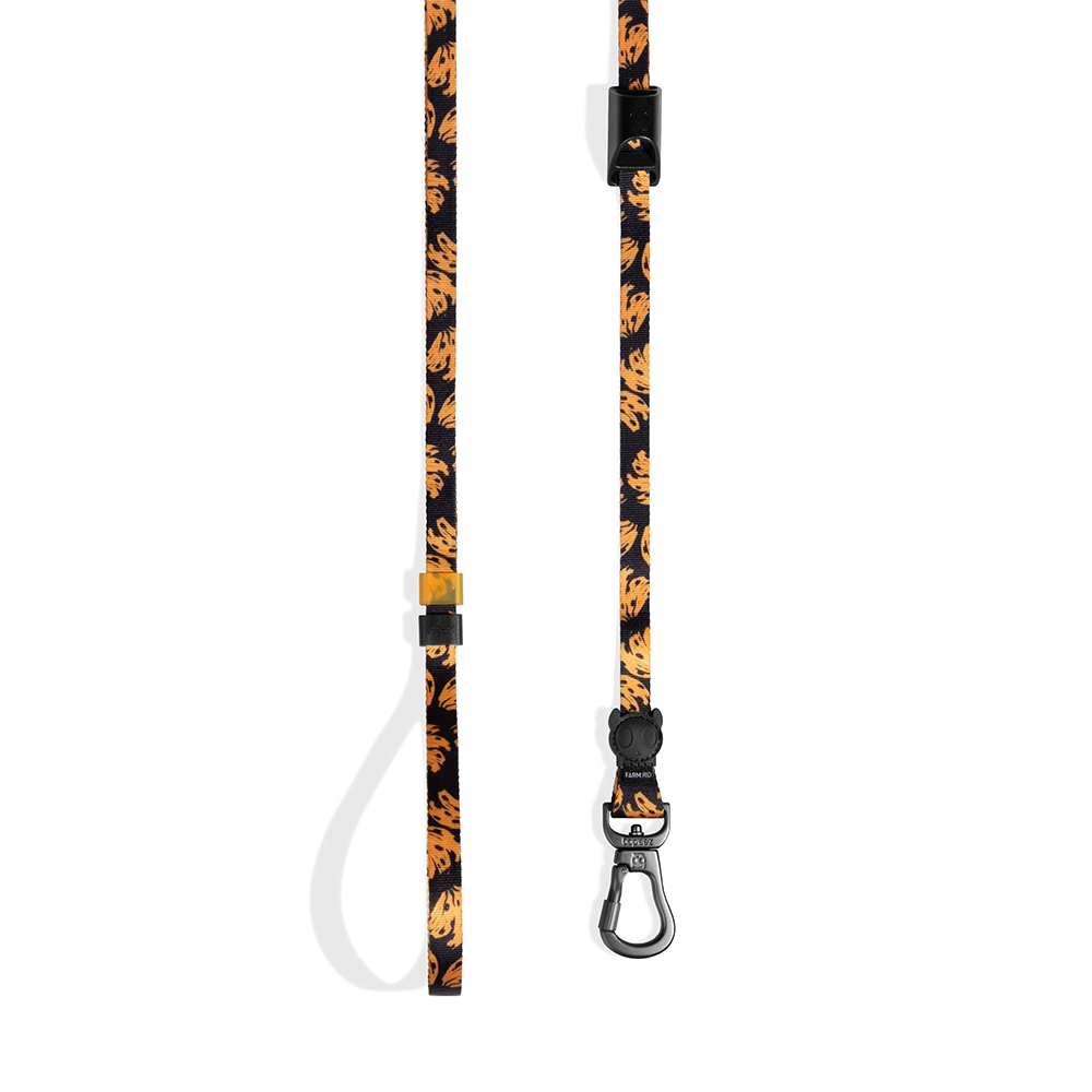 Zeedog FARM Rio Bossa Banana Long Leash long dog leash