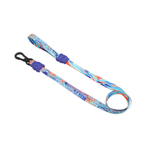 Zeedog Glitch Error #404 Dog Leash