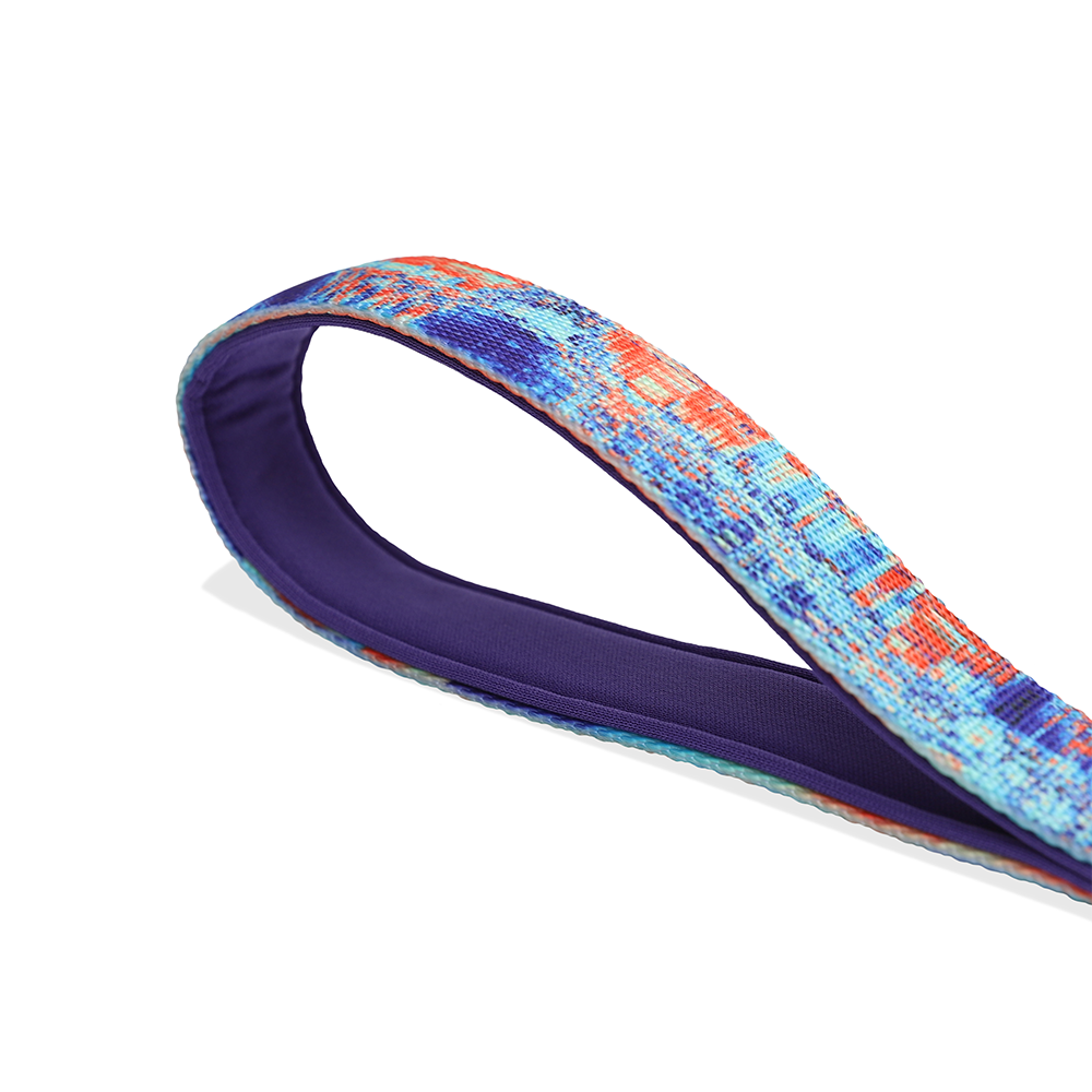 Zeedog Glitch Error #404 Dog Leash Handle