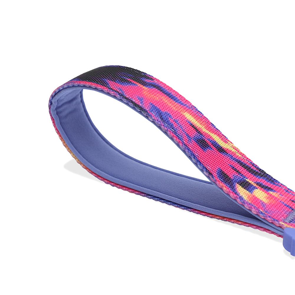 Zeedog Glitch Error #500 Dog Leash Handle