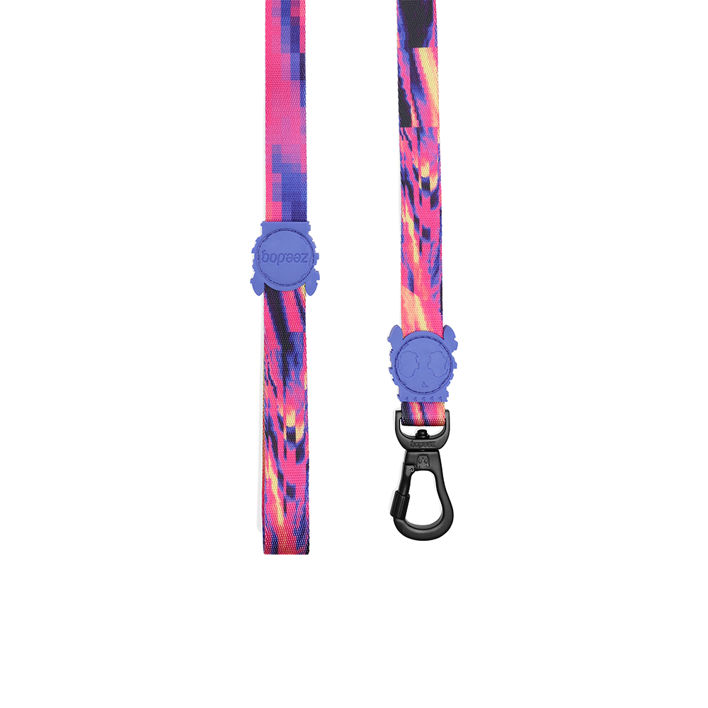 Zeedog Glitch Error #500 Dog Leash Hook