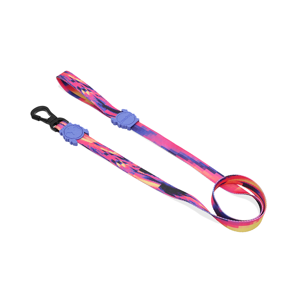 Zeedog Glitch Error #500 Dog Leash