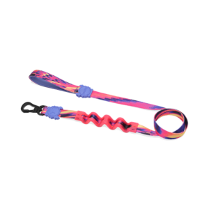 Zeedog Glitch Error #500 Ruff Dog Leash