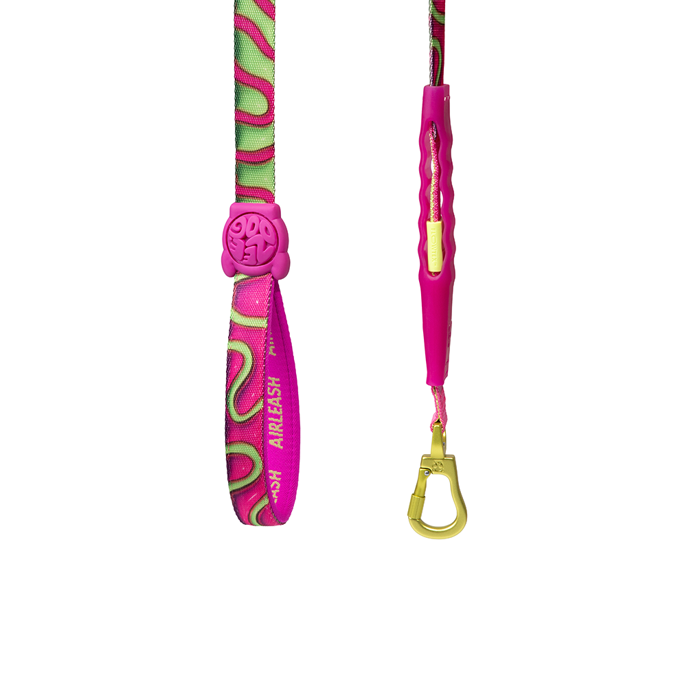 Zeedog H3D Jelly Air Leash 2