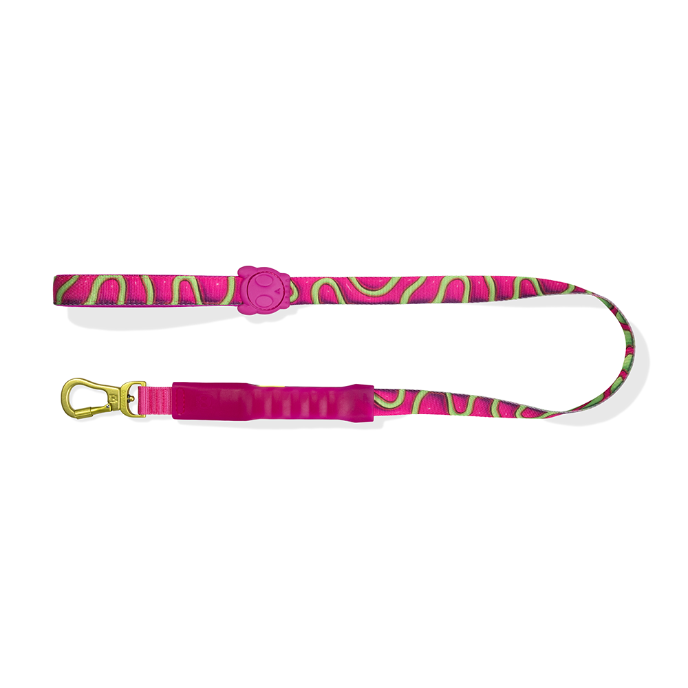 Zeedog H3D Jelly Air Leash