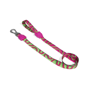 Zeedog H3D Jelly Dog Leash