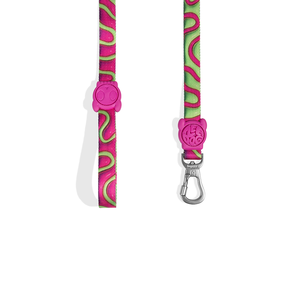 Zeedog H3D Jelly Dog Leash Details
