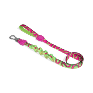 Zeedog H3D Jelly Ruff Dog Leash